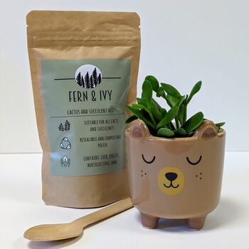Plant Your Own Succulent Kit With Bear Pot, 5 of 5