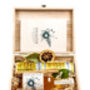 Sprigster Non Alcoholic Shrub Infusion 20cl Gift Box, thumbnail 1 of 3