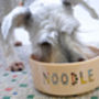 Personalised Dog Bowl, thumbnail 1 of 8