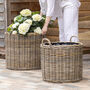 Round Rattan Planter With Handles, thumbnail 1 of 4