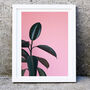 Pink Leaves Minimalist Photography Print, thumbnail 1 of 2