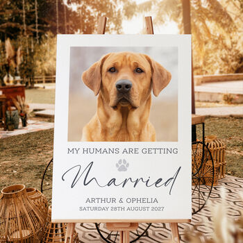 Wedding Welcome Sign My Humans Are Getting Married, 3 of 7