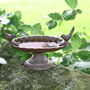 Traditional Brown Cast Iron Two Bird Bath And Feeder Gift, thumbnail 1 of 4