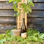 Grow Your Own White Wine, Christmas Gifts For Him, thumbnail 1 of 10