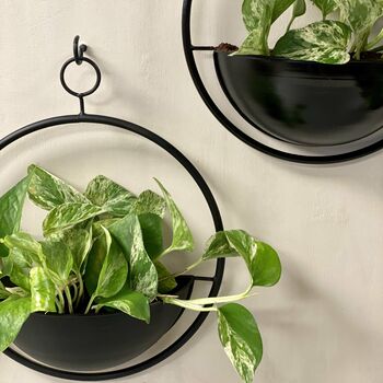 Hanging Circular Black Metal Wall Planter By The Florist's Daughter ...