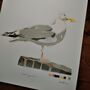 'Herring Gull' Original Stencil Edition, thumbnail 5 of 10
