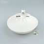 East Of India Porcelain Medium Animal Bowl Stretching Cat, thumbnail 1 of 3