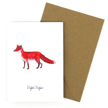 Sylvan Red Fox Greetings Card, 3 of 7