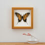 Personalised Papercut 3D Butterfly Framed Print Gift, thumbnail 3 of 9