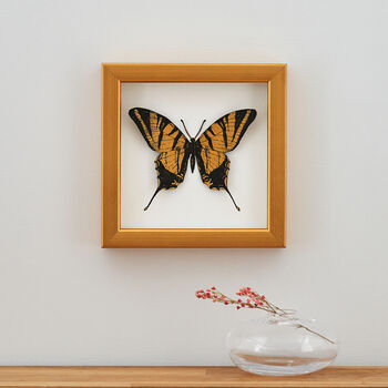 Personalised Papercut 3D Butterfly Framed Print Gift, 3 of 9