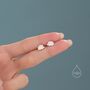 Hedgehog Stud Earrings In Sterling Silver, thumbnail 7 of 12