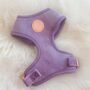 Lilac Velvet Dog Harness, thumbnail 1 of 4