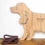 Personalised Spaniel Dog Advent Calendar, thumbnail 2 of 3