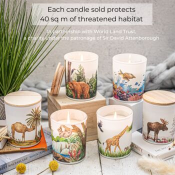 Forest Scented Soy Candle | Zero Waste Christmas Gift That Gives Back, 7 of 7