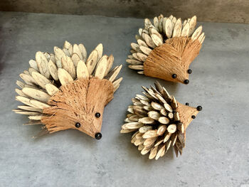 Set Three Handmade Hedgehog Ornaments Coconut, 6 of 12
