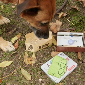 A Dogs Hiking Kit Gift In A Tin, 2 of 4