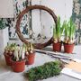Diy Spring Wreath Kit With Bulbs, thumbnail 4 of 6