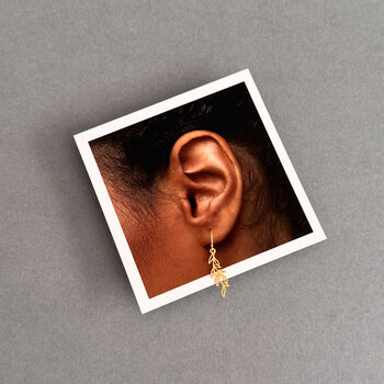 Love Grows Here Sterling Silver Leaf Drop Earrings, 6 of 12