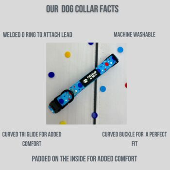 Blue Polka Dot Dog Collar And Lead, 4 of 6