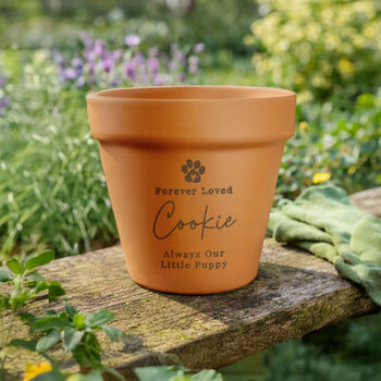 Personalised Pet Memorial Plant Pot Sympathy Gift, 3 of 6