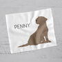 Personalised Labrador Glasses Cleaning Cloth, thumbnail 2 of 3