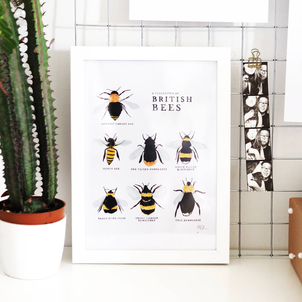 Illustrated British Bees Springtime Print Unframed, 1 of 6