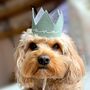 Pet Birthday Hat, thumbnail 1 of 7