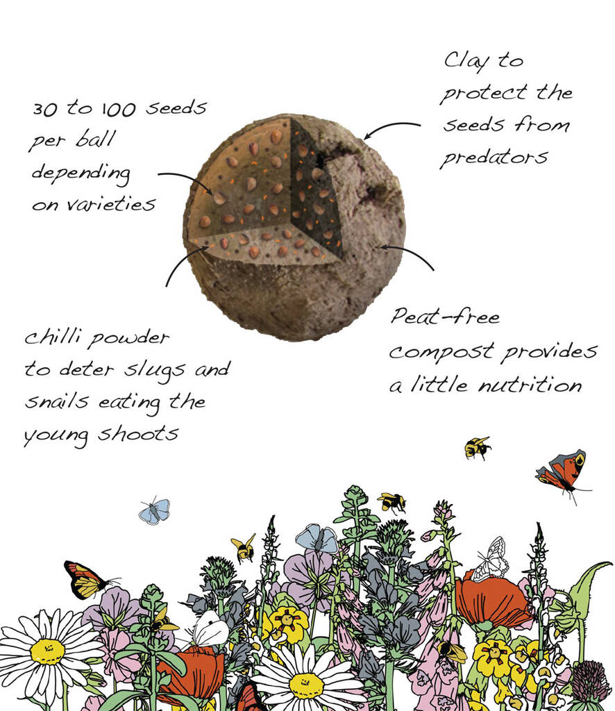 Wild Flower Seed Scatter Packets 100 Balls By Seedball