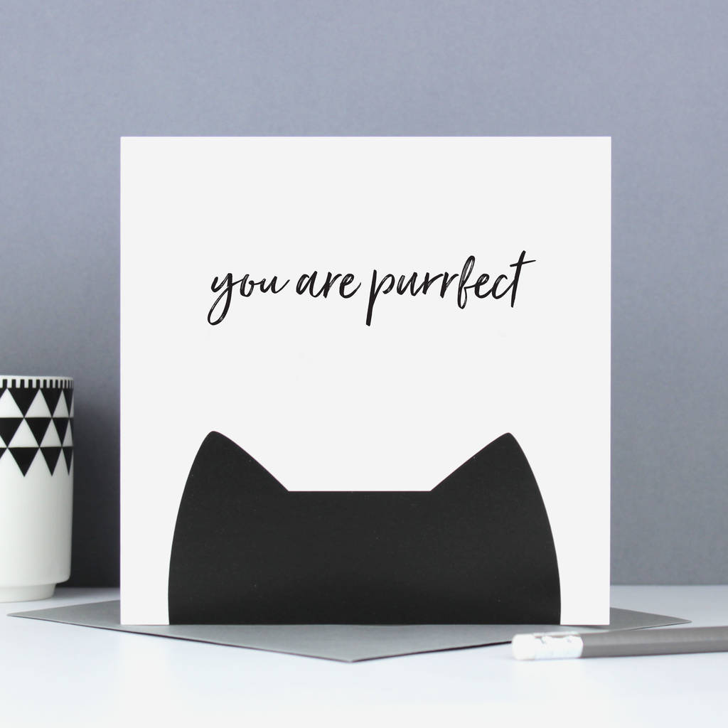 'you are purrfect' cat card by purple tree designs | notonthehighstreet.com