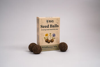 Willsow Rhs Seed Ball Bundle Wildflower, Bee And Shade, 2 of 5