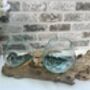 Teak Root Wooden Display With Double Molten Glass Bowls, thumbnail 6 of 11