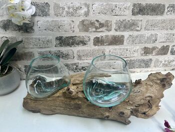 Teak Root Wooden Display With Double Molten Glass Bowls, 6 of 11