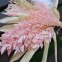 White And Pink Dried Palm Sun Bouquet, thumbnail 2 of 4
