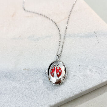 Charming Ladybird Locket Necklace, 2 of 4