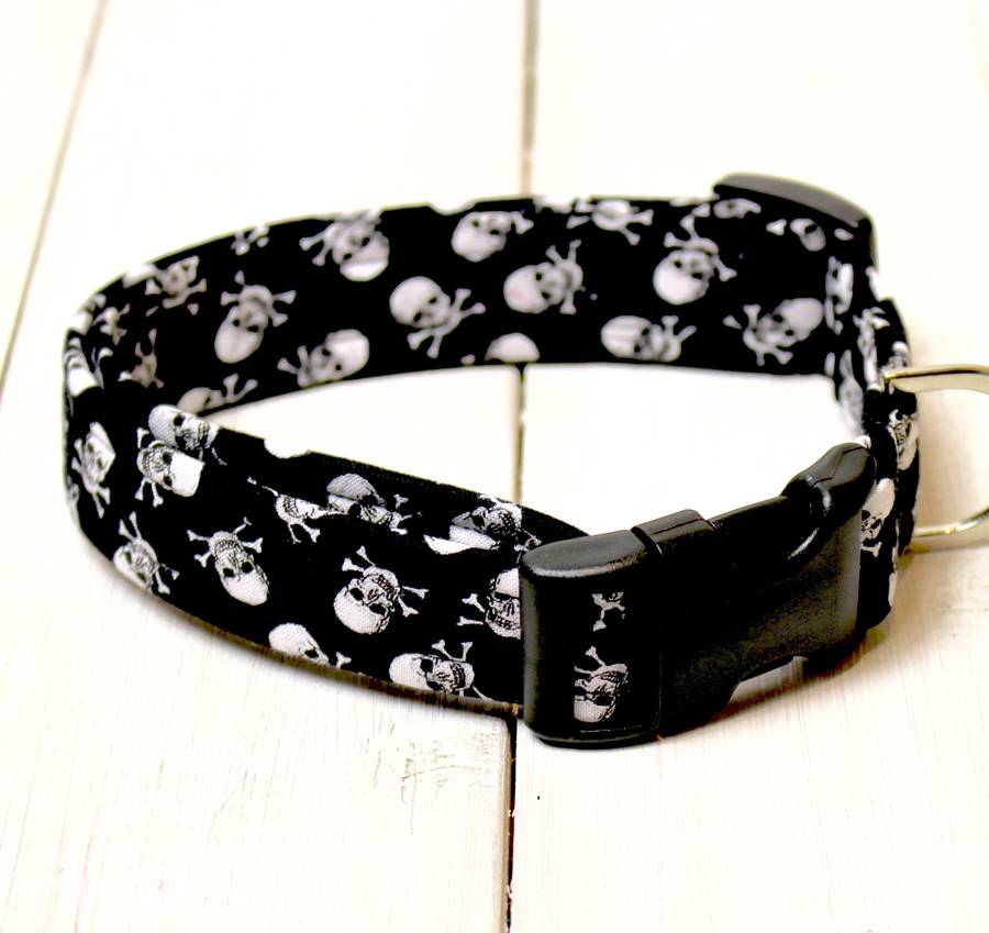 skull and crossbones dog collar by the spotted dog company