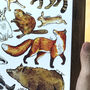 Woodland Animals Of Britain Wildlife Watercolour Print, thumbnail 7 of 8