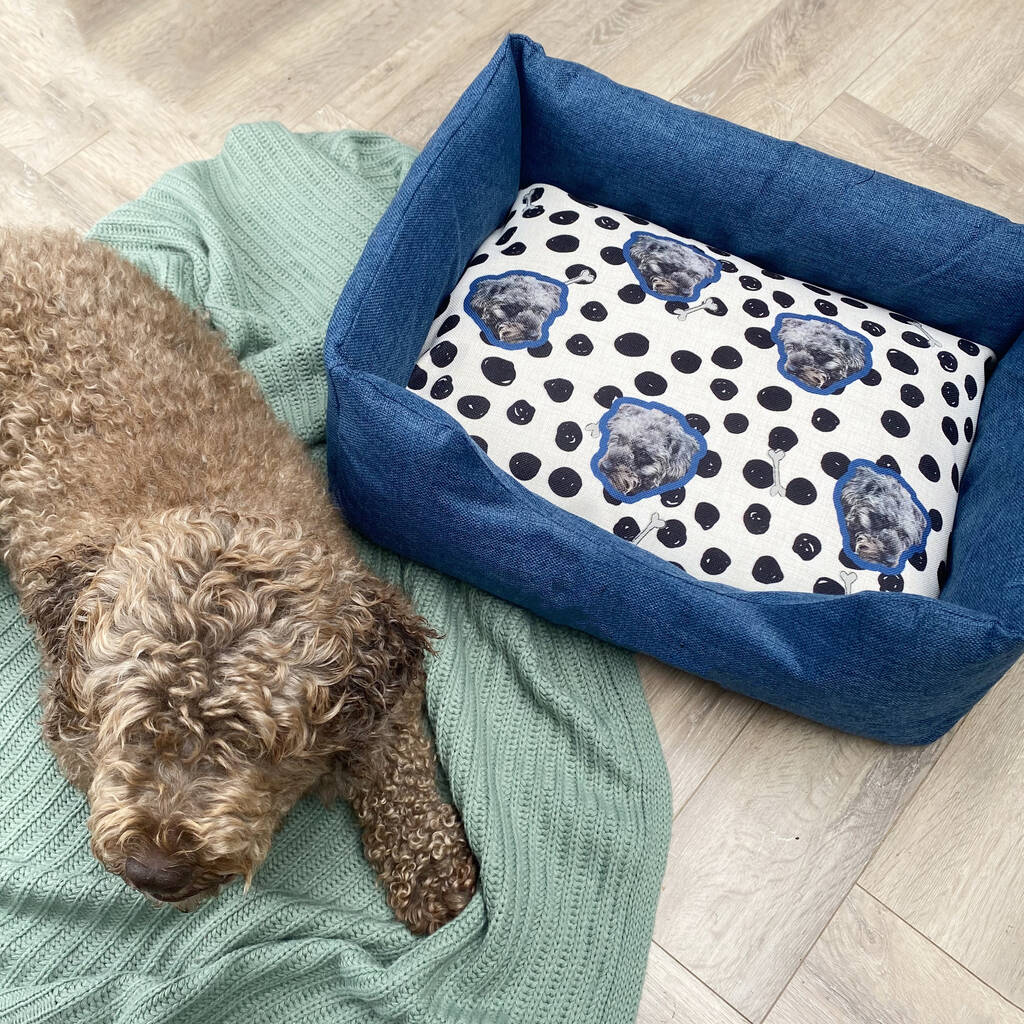 Spotty Photo Upload Personalised Dog Bed, 1 of 4