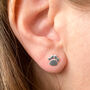Sterling Silver Pawprint Earrings In A Gift Tin, thumbnail 4 of 12
