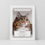 Personalised Pet Loss Cat Memorial Photo Print Wall Art, thumbnail 4 of 5