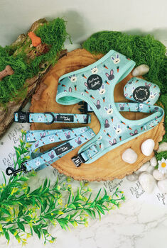 Mint Choc Chip Easter Bunny Dog Collar With Optional Set, 9 of 9