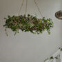 Hanging Wreath Available In Two Sizes, thumbnail 3 of 4