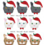 Personalised Happy Catmas Christmas Decoration, thumbnail 5 of 11