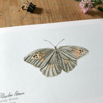 ‘Meadow Brown’ Butterfly A5 Giclée Art Print, 3 of 3