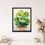 Full Bodied Fiddle Leaf Fig Plant Lovers Wall Art Print, thumbnail 4 of 6