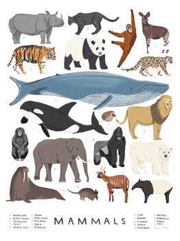 Personalised Mammals Print, 2 of 7