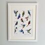 Hummingbirds Of The World Illustrated Print, thumbnail 2 of 8