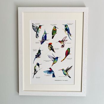 Hummingbirds Of The World Illustrated Print, 2 of 8