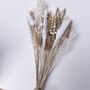 Letterbox White And Gold Dried Flowers, thumbnail 3 of 4