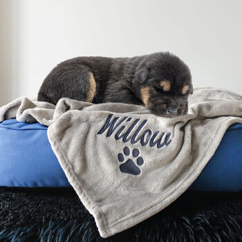 Personalised Grey Pet Blanket, 4 of 5