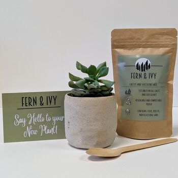 Plant Your Own Succulent Kit With Lamon Pot, 4 of 5